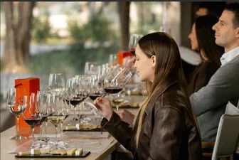Visita Guiada Standard + Tasting Marqués de Casa Concha