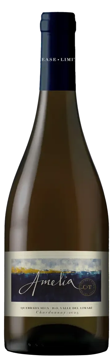 Terrunyo Sauvignon Blanc