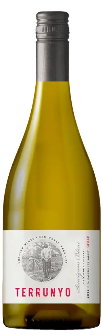 Terrunyo Sauvignon Blanc