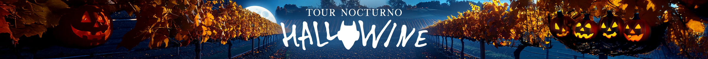 Promoción Enoturismo