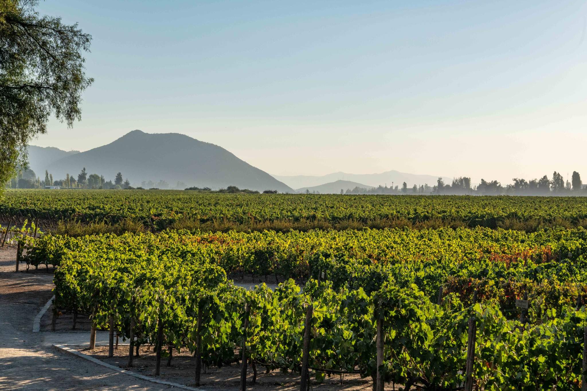 Maridaje al aire libre