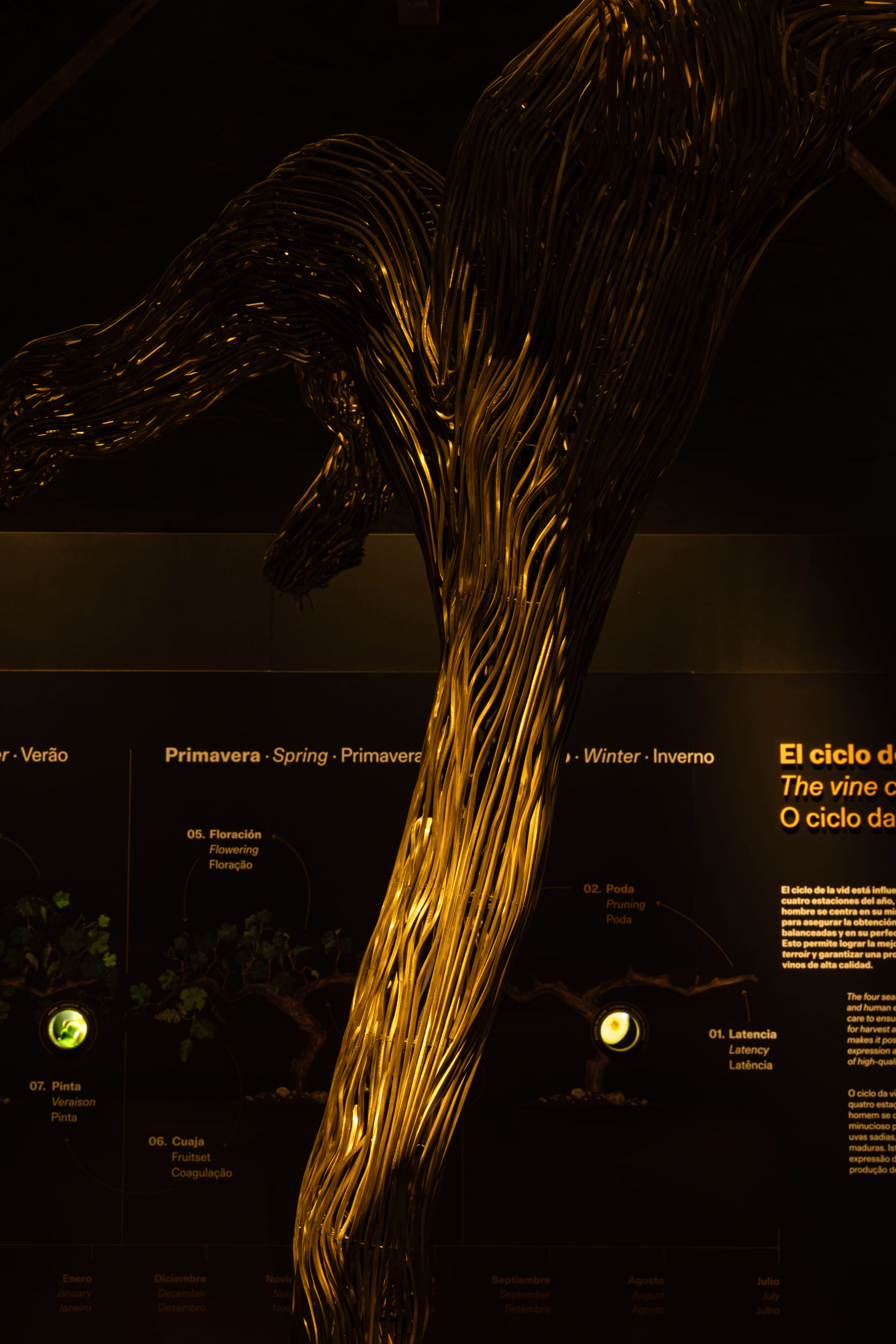 Maridaje al aire libre