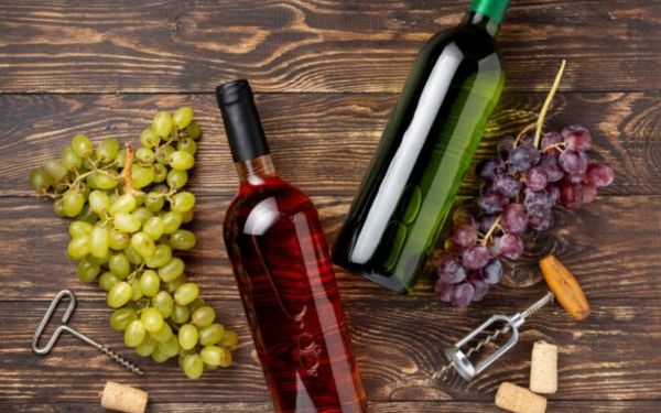 ¿Qué son los vinos orgánicos y cómo se hacen?