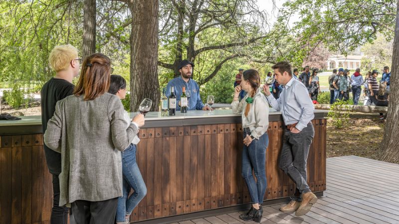 Disfruta una experiencia enoturística en la Viña Concha y Toro