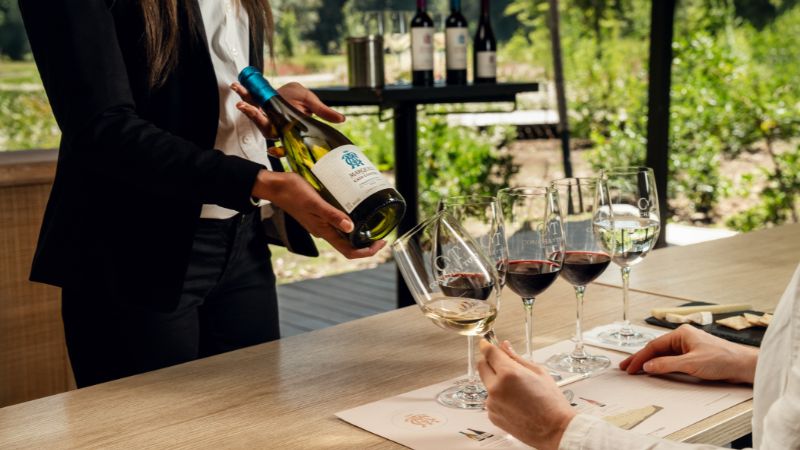 Cata de vinos en Santiago: dónde vivir la experiencia