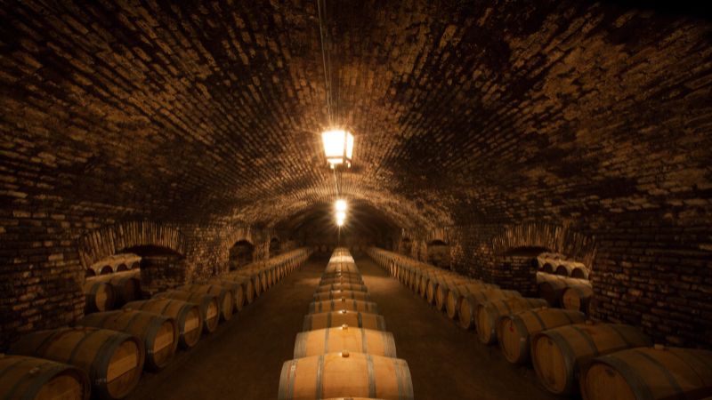 Aprende cómo se hace el vino